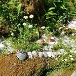 Fairy Tale House بيت للعطل