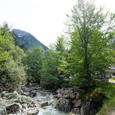 Fairy Tale House * 特伦塔