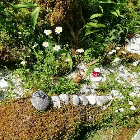 Fairy Tale House 度假居