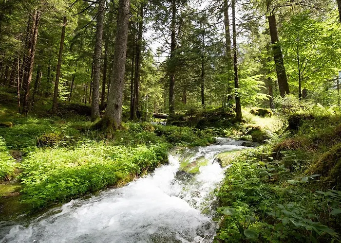 Holiday home Fairy Tale House *