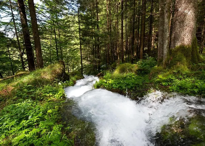 Дом отдыха Fairy Tale House *